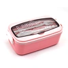 lunch box with fork and spoon